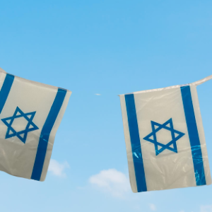 שרשרת לאום 50 מטר PE 30X40  י 80 יח