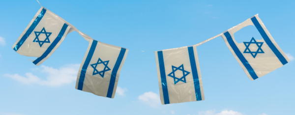 שרשרת לאום  40*30  5 מטר 8 דגלים PE