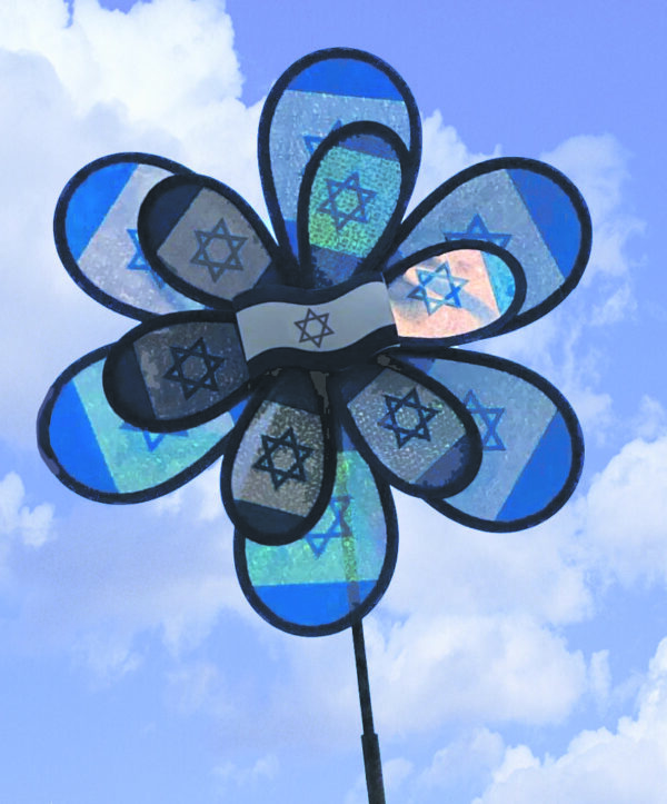 שבשבת כפולה דגל ישראל