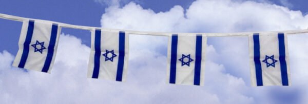 שרשרת דגלים בד 5 מטר 21 *14   10 דגלים