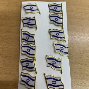 דגל סיכה 12 יח בדף